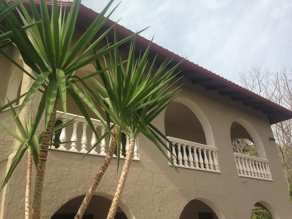 The Beach House - Apartments & Studios (Adults Only) Afytos Exterior photo